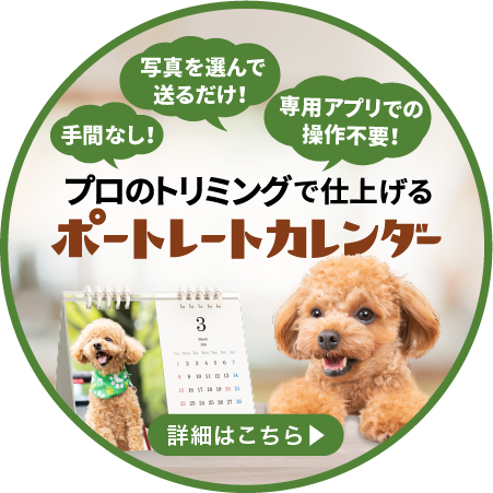 2024 オリジナルカレンダー 4月始まり