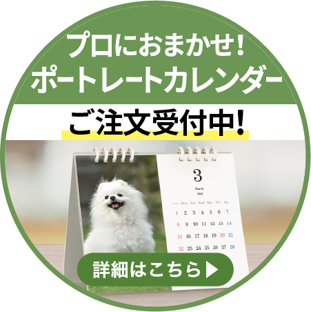 2026ポートレートカレンダー